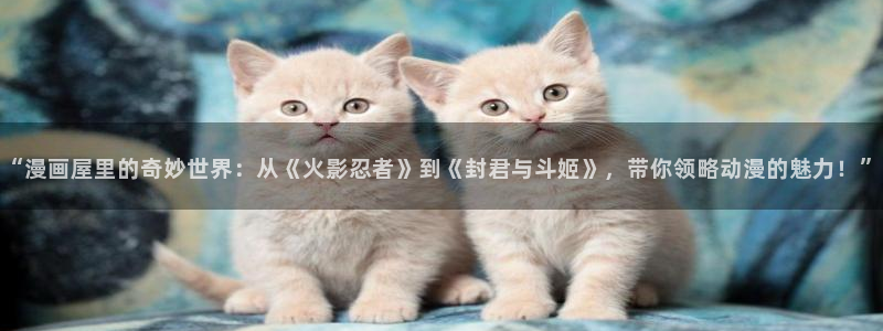 漫画岛在线导航