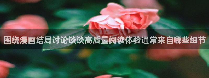 漫画岛入口导航页