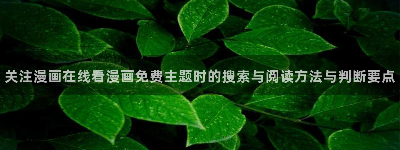 漫画岛漫画网站