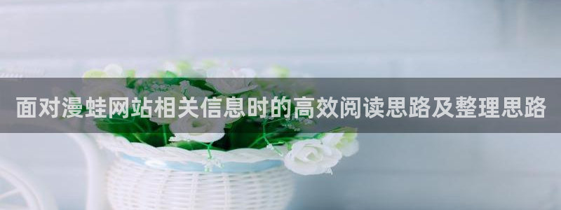 漫画岛漫画阅读入口:面对漫蛙网站相关信息时的高效阅读思路及整理思路