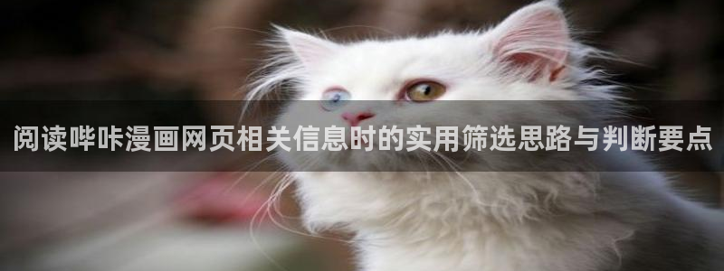 漫画岛漫画在线阅读:阅读哔咔漫画网页相关信息时的实用筛选思路与判断要点