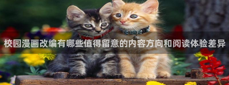 漫画岛最新漫画推荐:校园漫画改编有哪些值得留意的内容方向和阅读体验差异