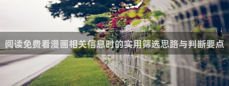 漫画岛网页最新地址:阅读免费看漫画相关信息时的实用筛选思路与判断要点