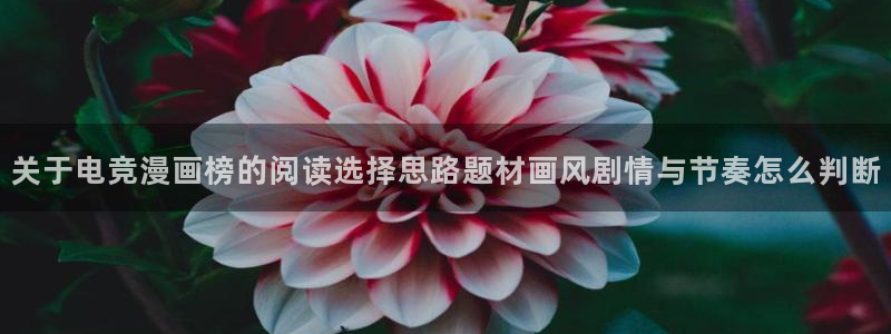 漫画岛人气漫画推荐:关于电竞漫画榜的阅读选择思路题材画风剧情与节奏怎么判断